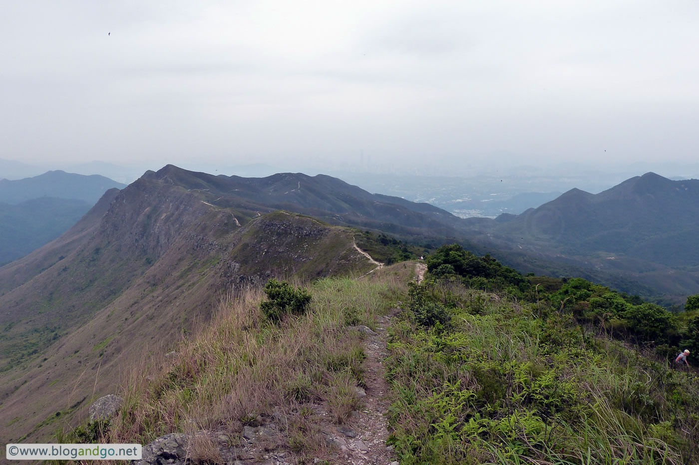 Wilson Trail 9 - On the Pat Sin Leng Ridge